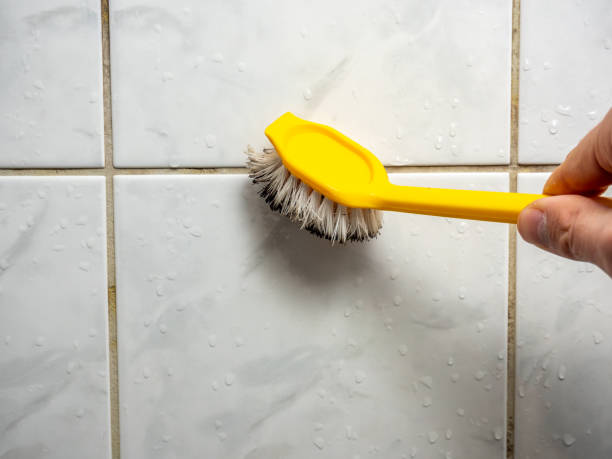 Best Same-Day Mold Removal  in Inverness, IL
