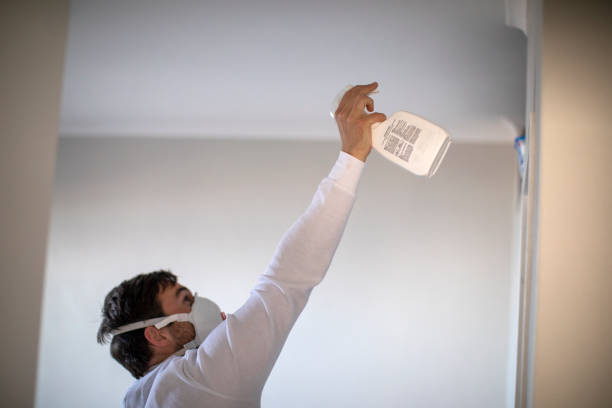 Best Professional Mold Removal  in Inverness, IL