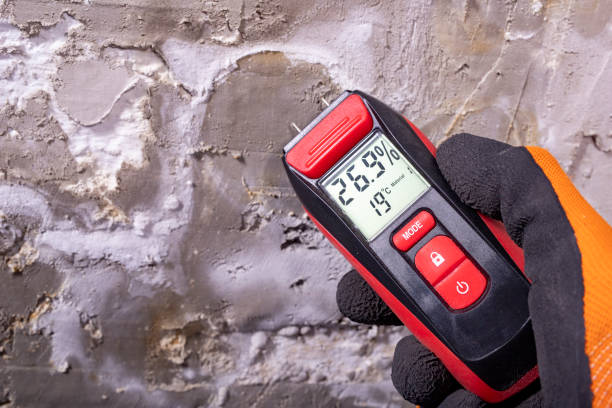 Best Mold Cleaning Services  in Inverness, IL