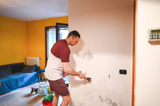 Mold Testing and Removal in Inverness, IL
