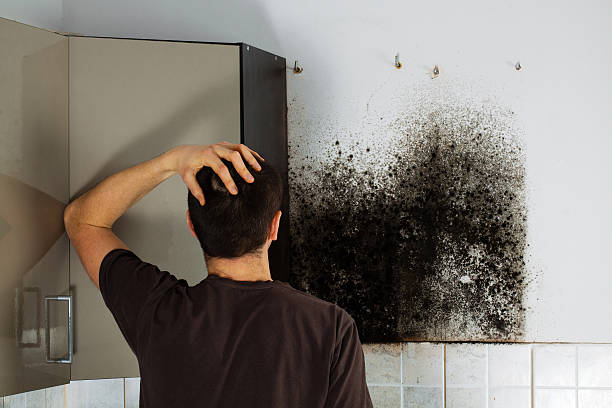 Best Crawl Space Mold Removal  in Inverness, IL